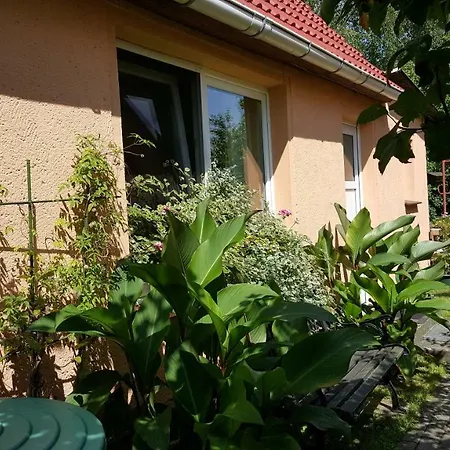 Vakantiehuis Uns Luett Hus *